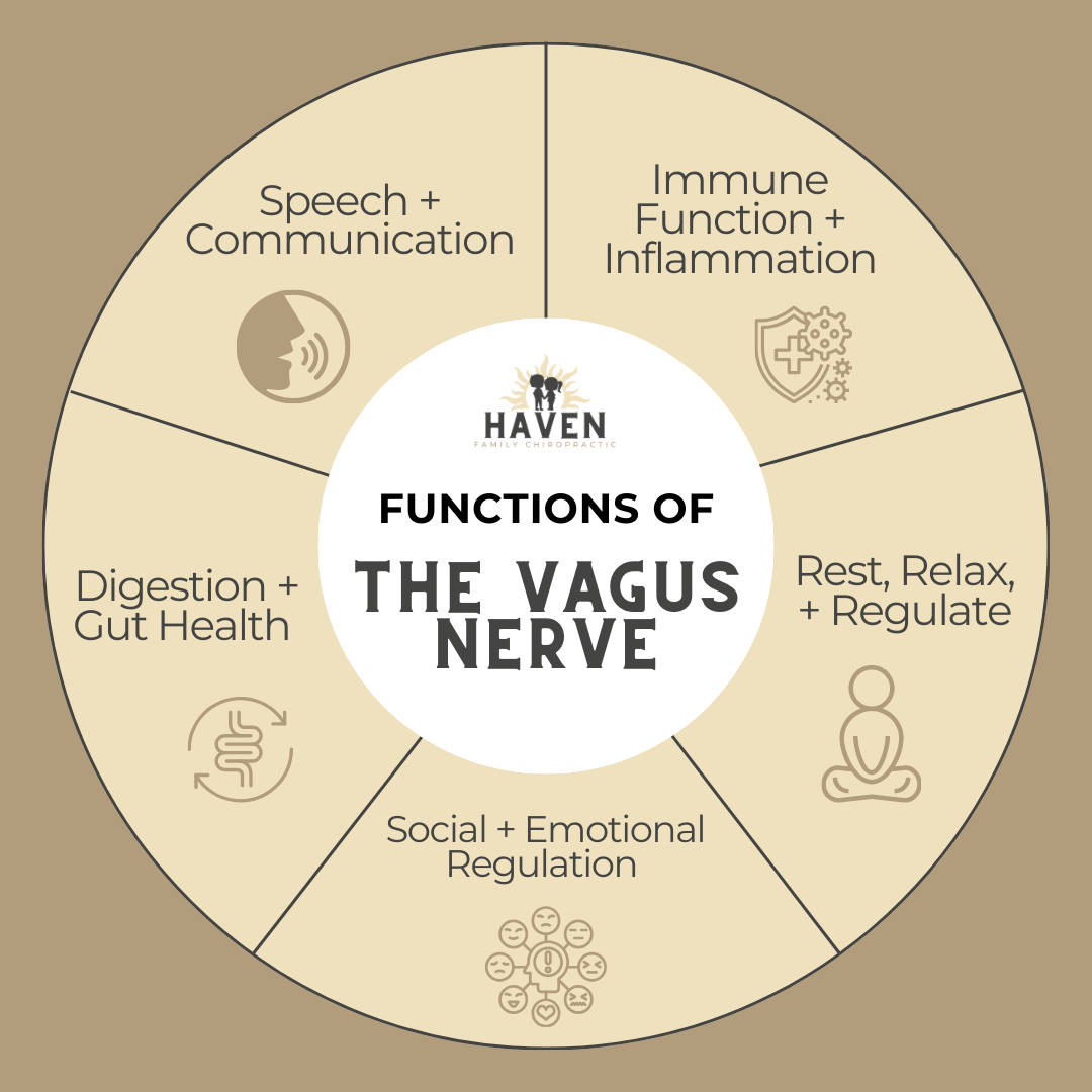 Vagus Nerve Disorders