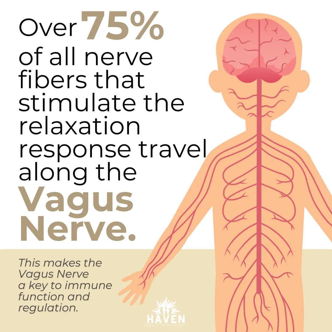 The Crucial Link Between the Vagus Nerve and the Immune System