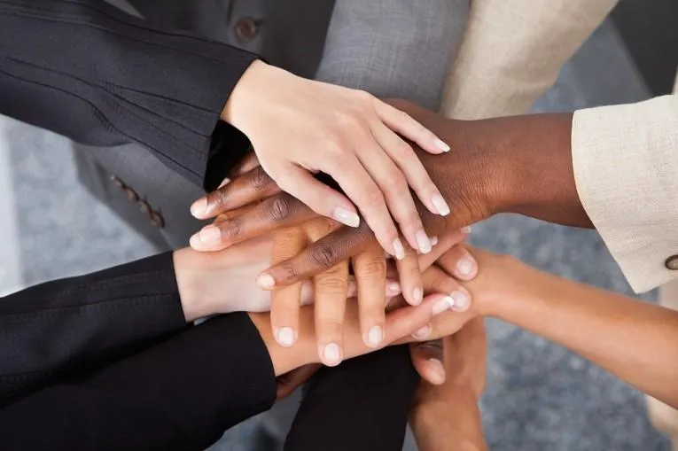 High Performance Teams: Leveraging Diversity to Create Effective Team Dynamics