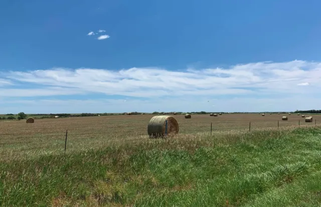 Kansas Pasture Clearing