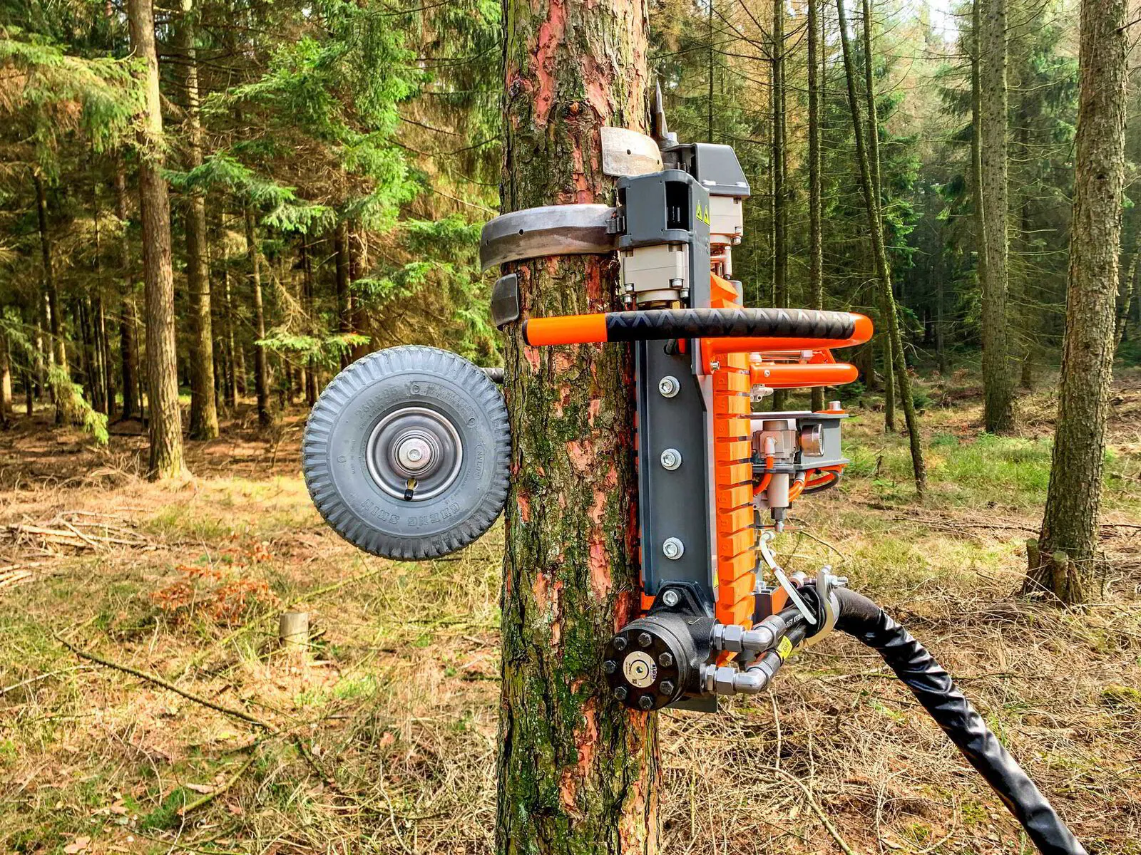 Deblinjg Enhance your landscape with our expert delimbing and trimming equipment ...