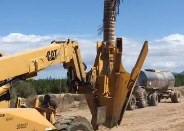 Tree Spades: Essential Tools for Transplanting Trees.