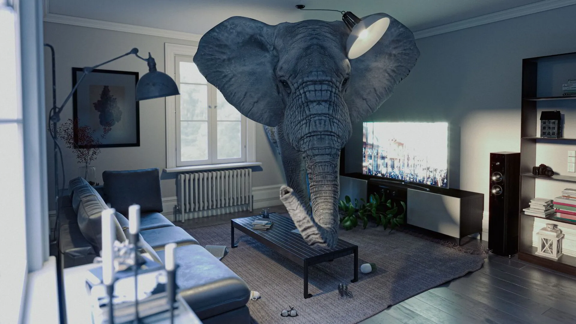 De olifant in de kamer