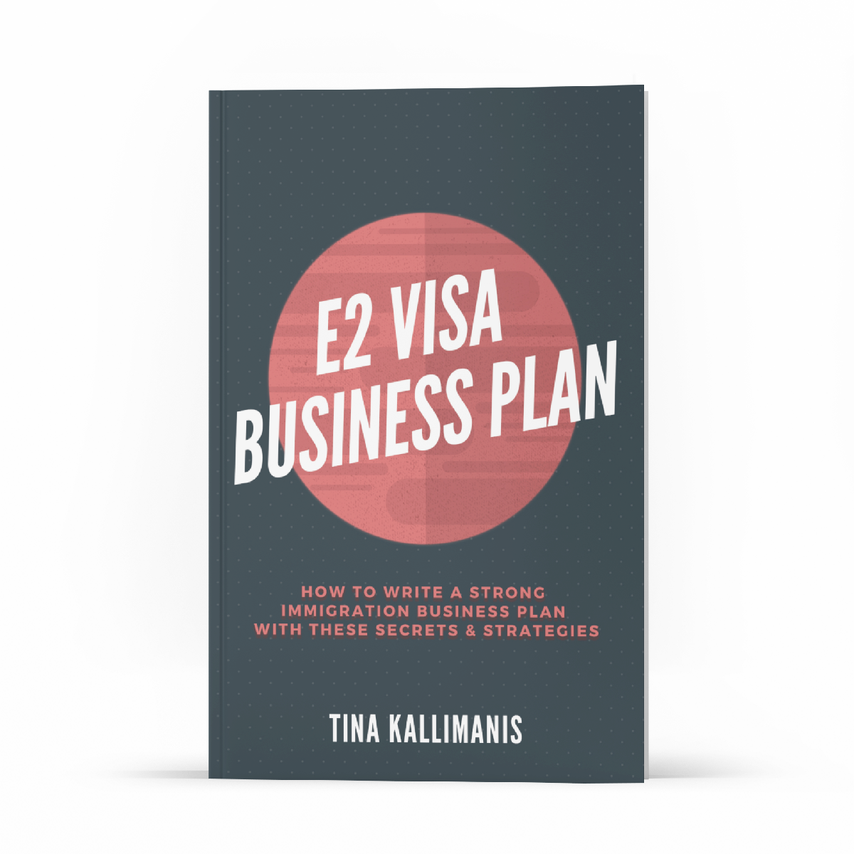 E2 Visa Business Plan PDF
