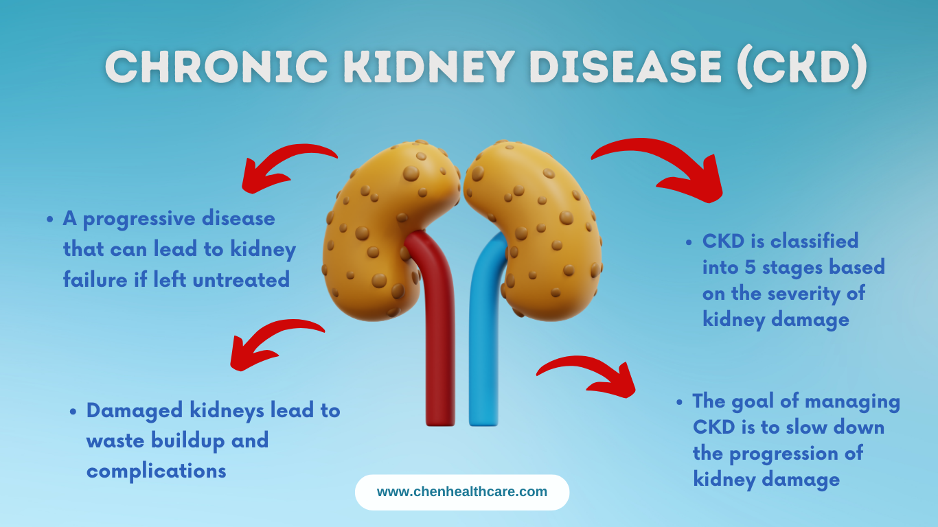 Understanding eGFR for CKD Patients: What Your Numbers Mean