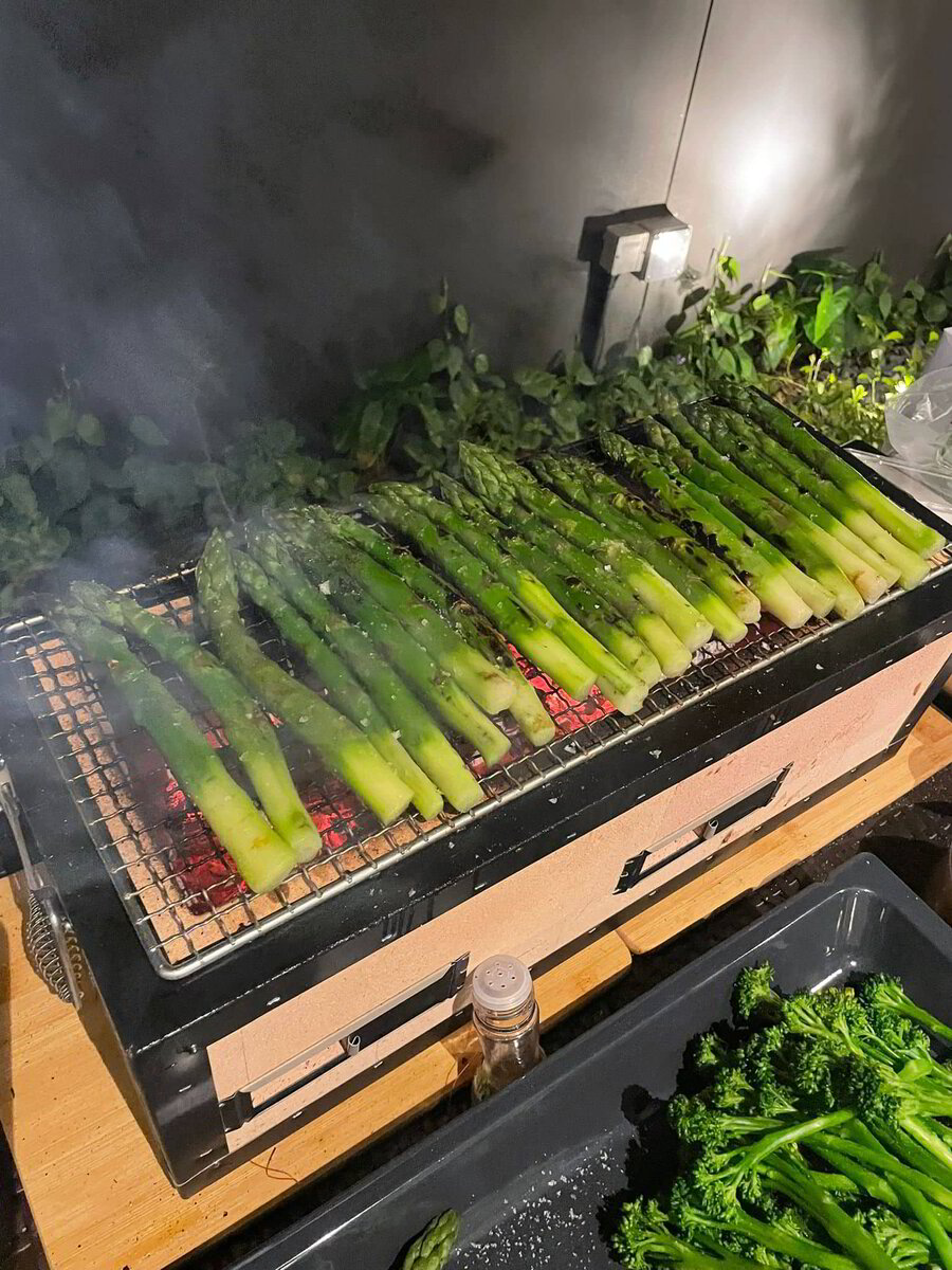 Japanese Hibachi Grill Rental Package ( 34 hours )