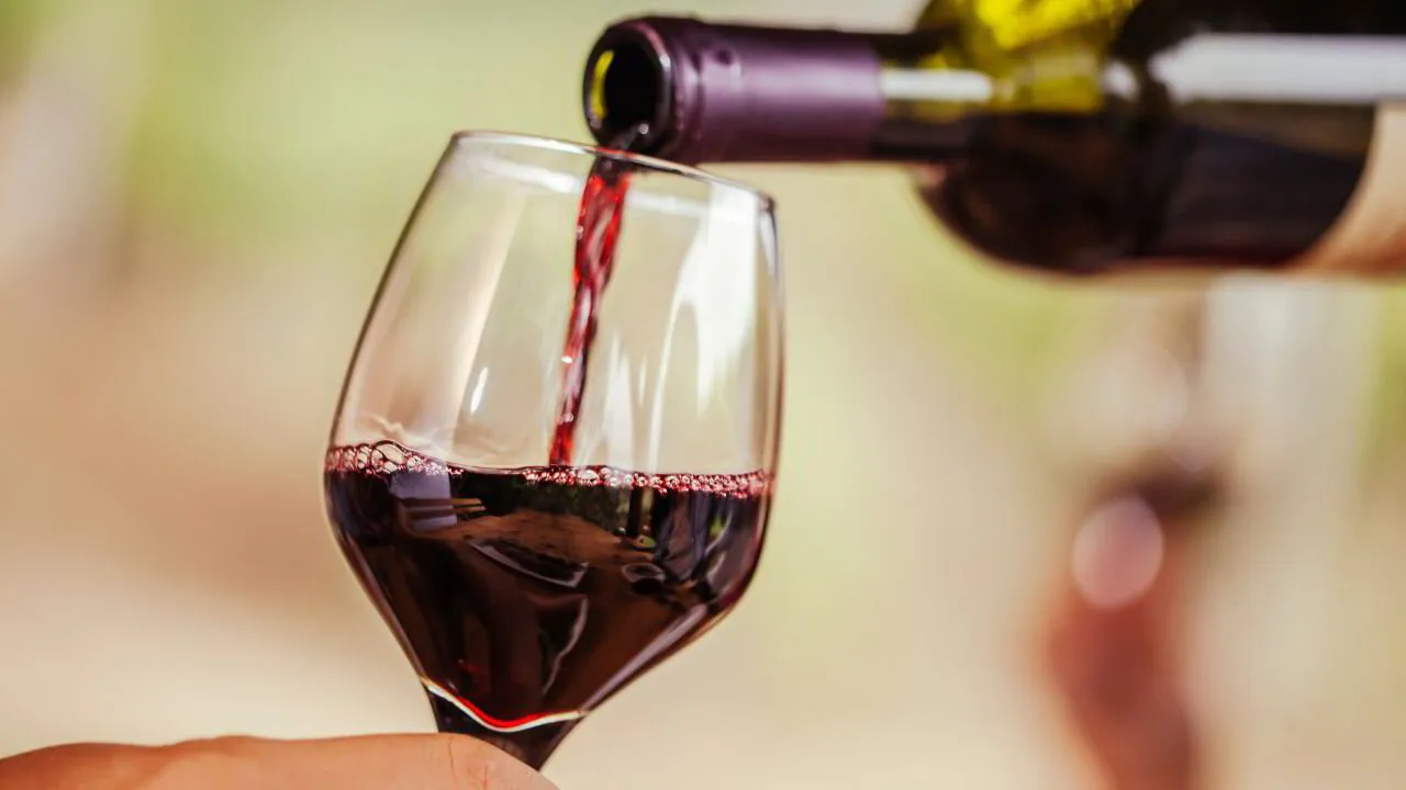 A long lunch in the Winelands