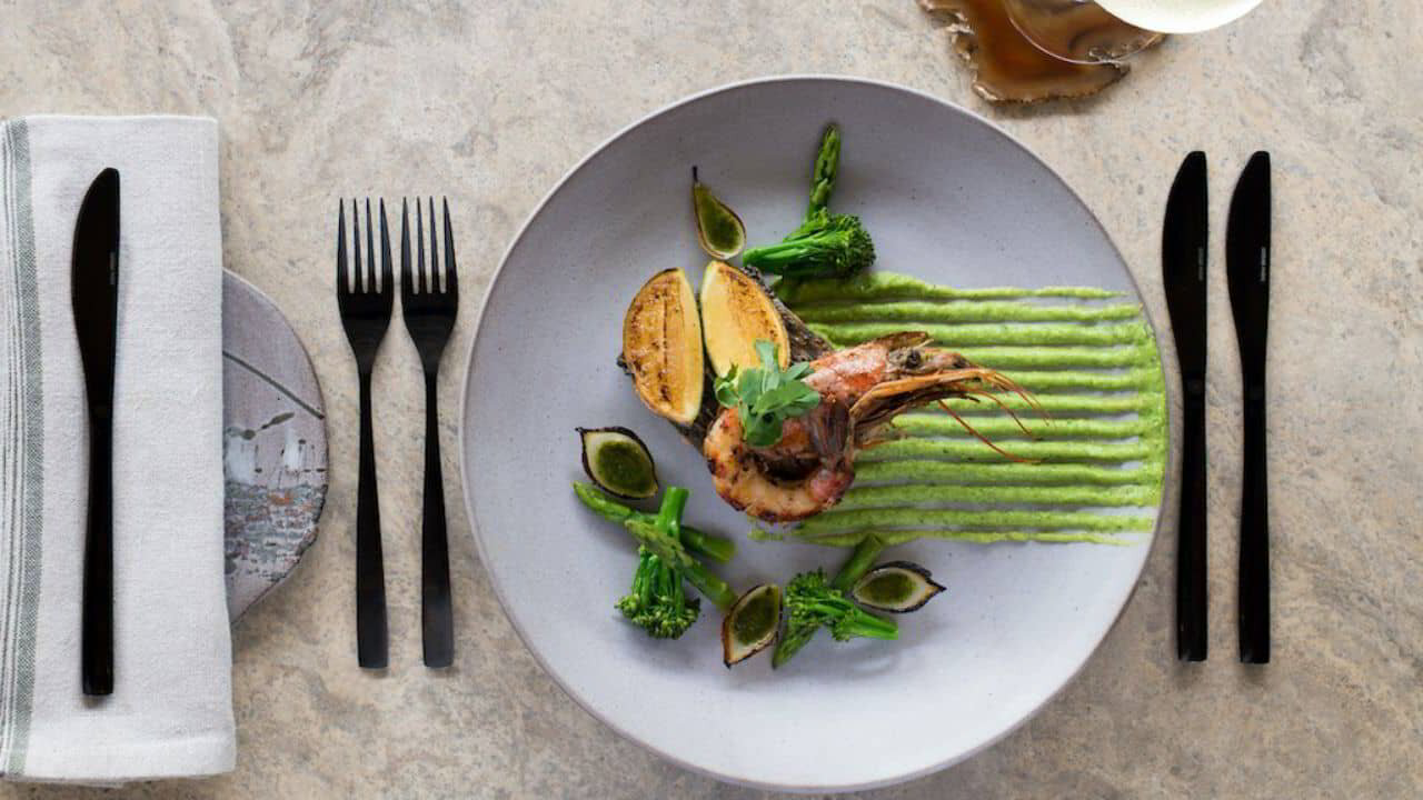 South African Cuisine: Traditional Dishes to Try
