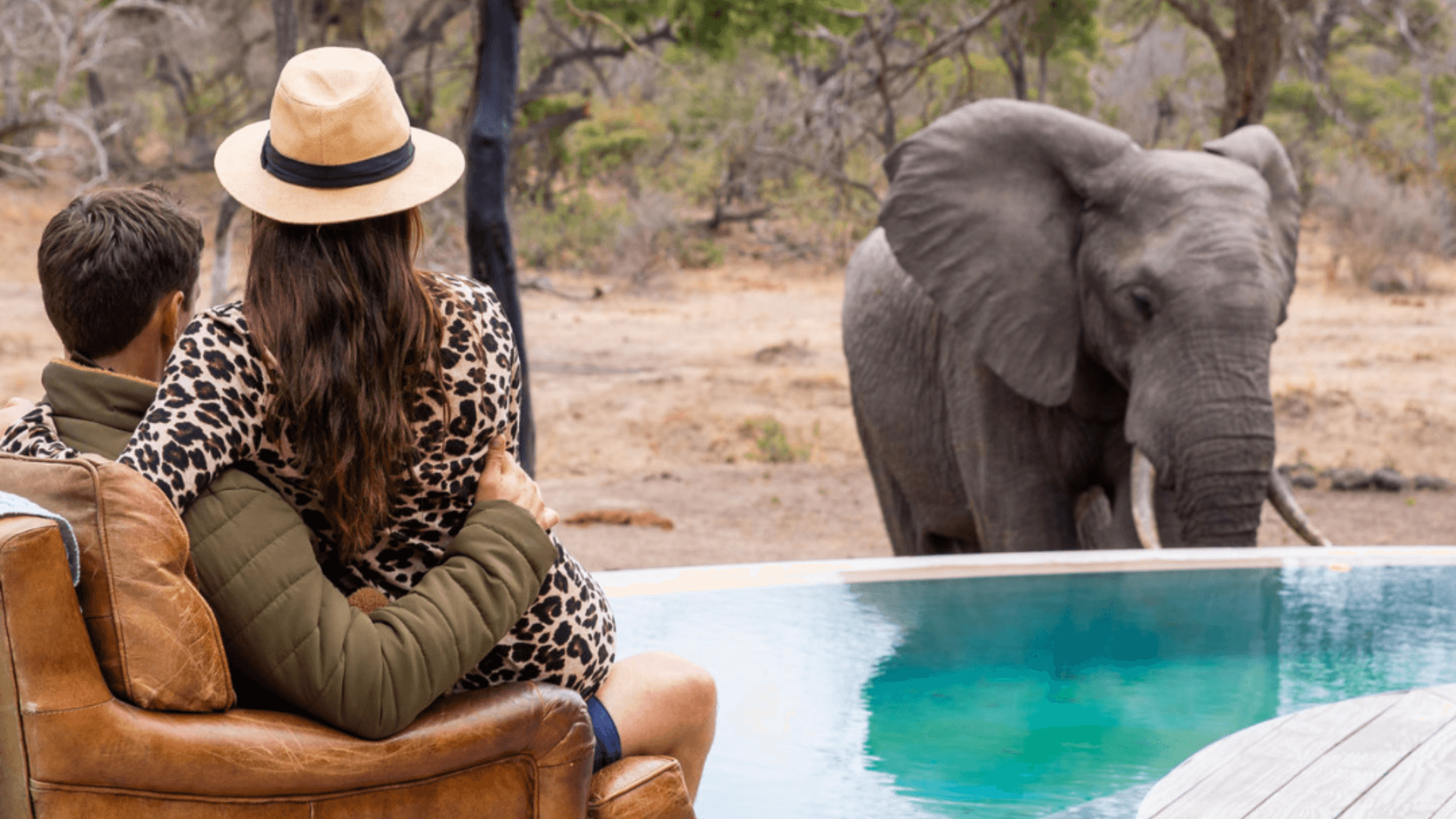 Why You Should Book A Luxury Safari In South Africa 8390