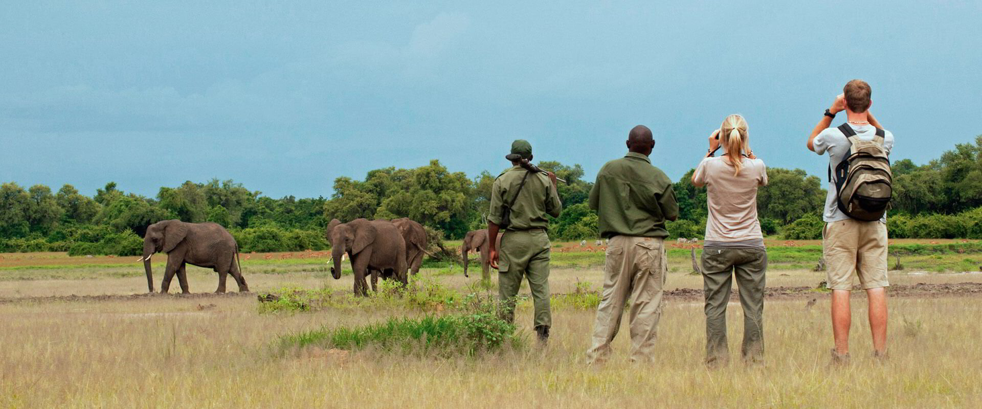 How Many Nights Do You Need On Safari 