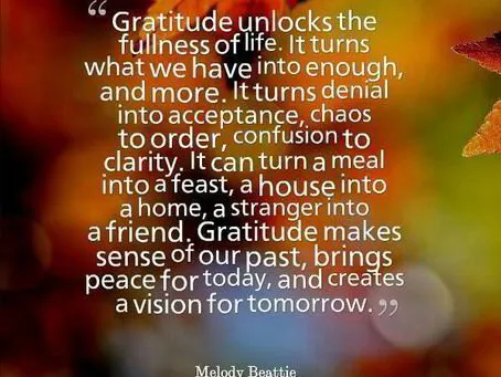 Why Gratitude is Essential for Your Health