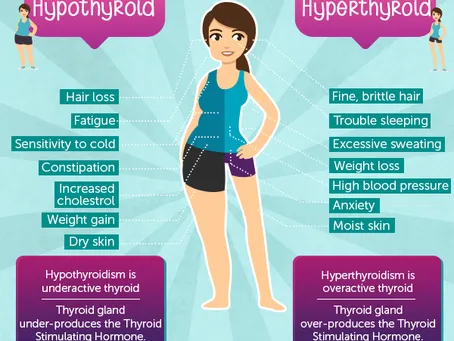 Thyroid Hormone and Your Metabolism