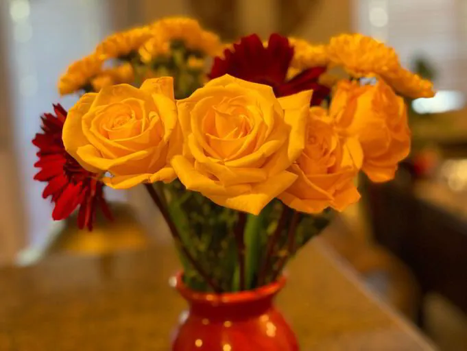 Yellow Roses, Holy Basil &amp; Hope