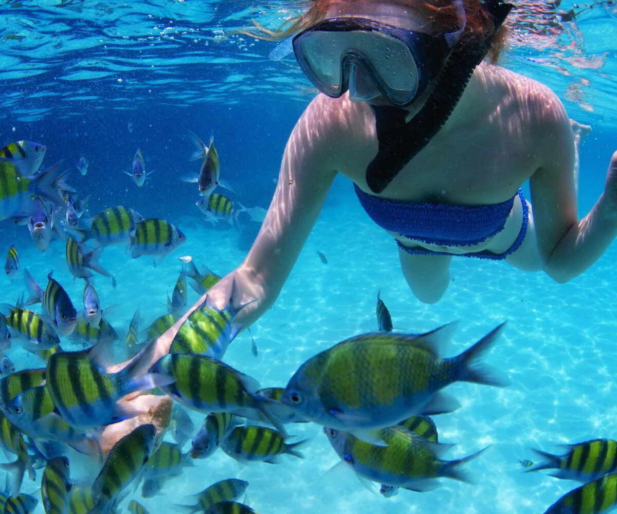 Snorkel en Cancun