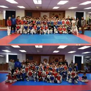 Level Elite Sport Taekwondo Seminar