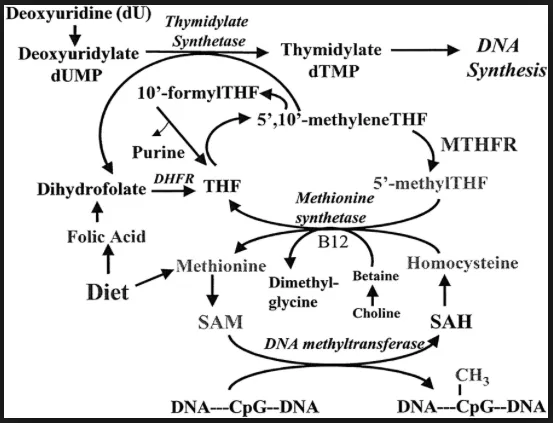 The Hype Around Methylation
