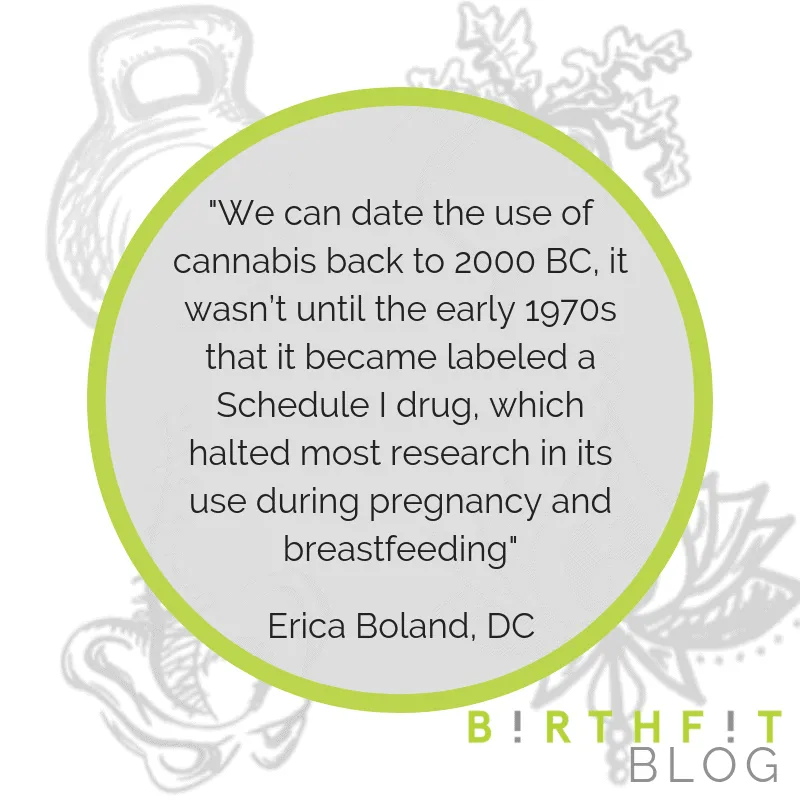 CBD Use During Pregnancy and Breastfeeding 