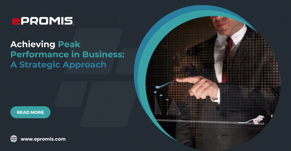 Achieving Peak Performance in Business: A Strategic Approach