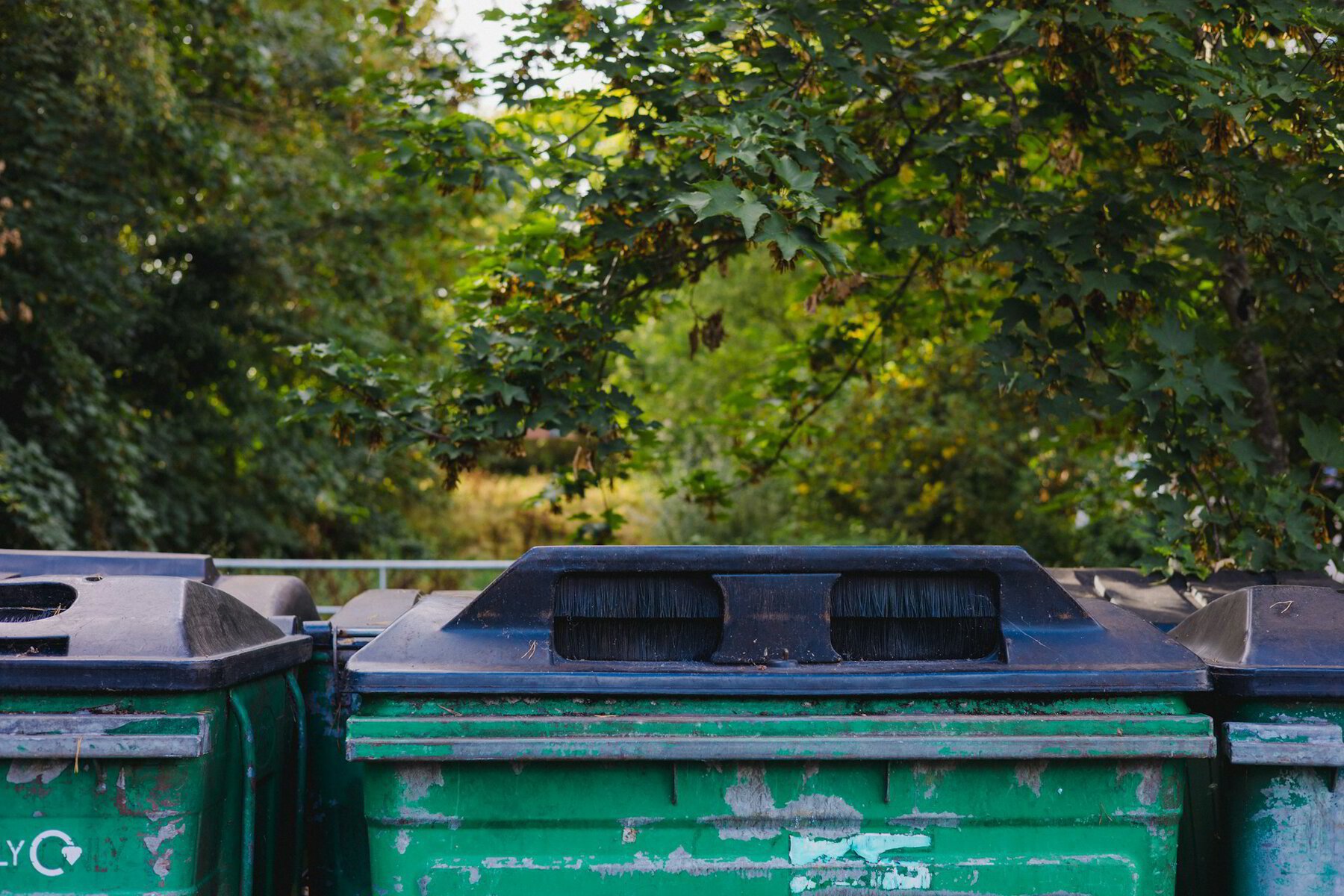 Demolition Cleanup in Nanaimo: How Roll Off Bins Simplify the Mess