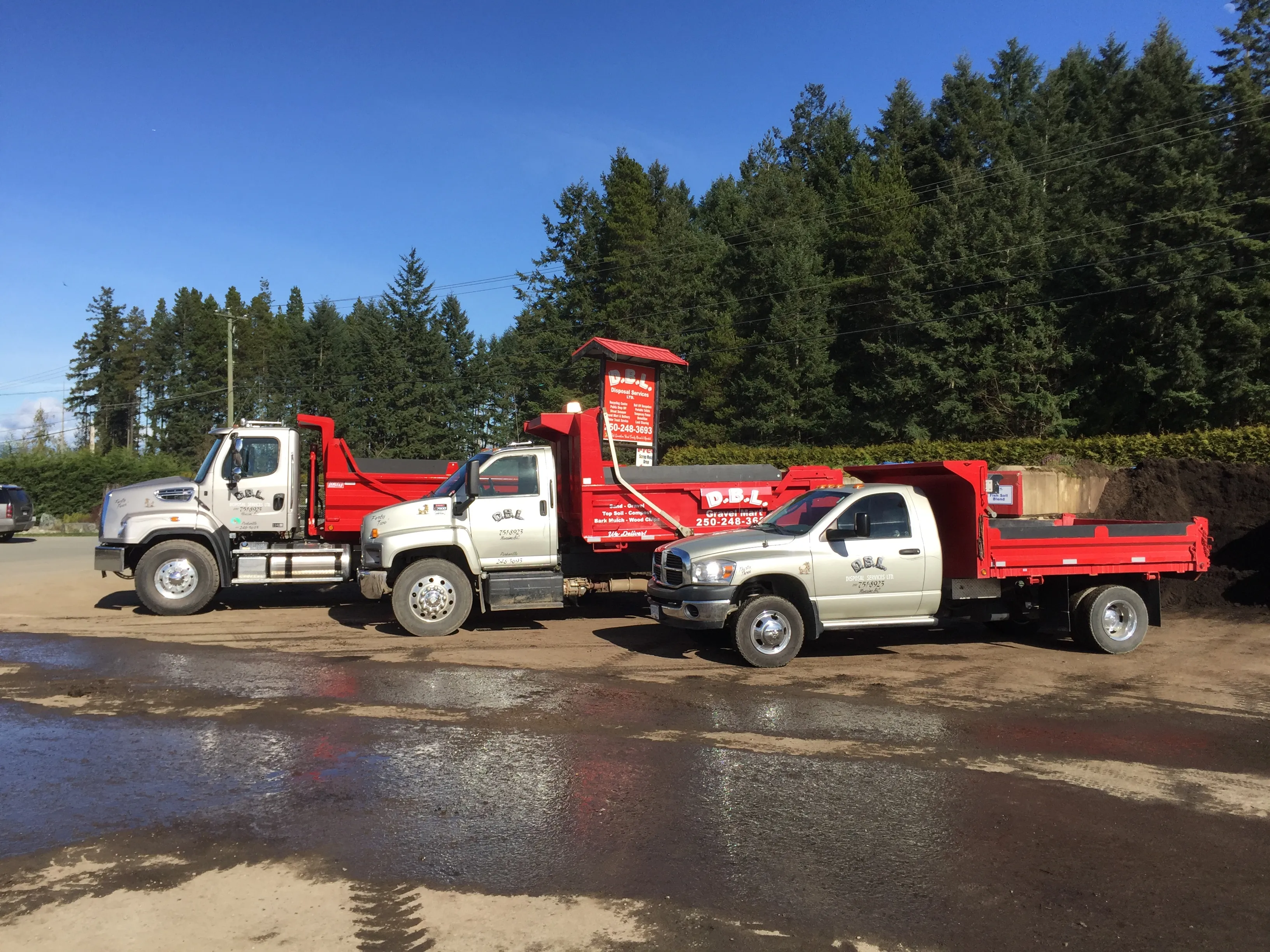 Garbage Removal Solutions for Renovation Projects: What You Need to Know