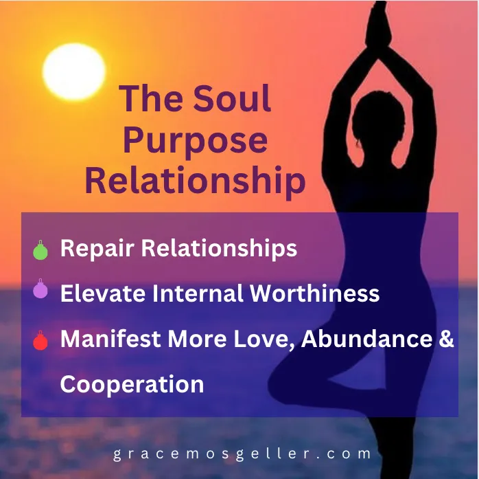 The Soul Purpose Relationship VIP