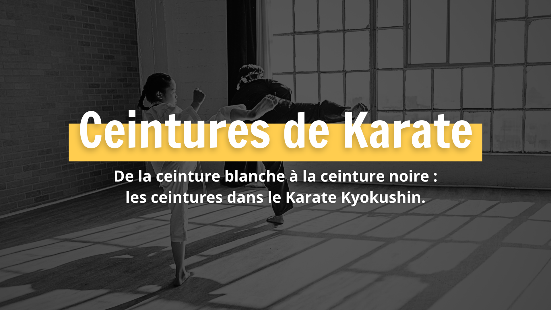 Ceinture de karaté couleur cheap