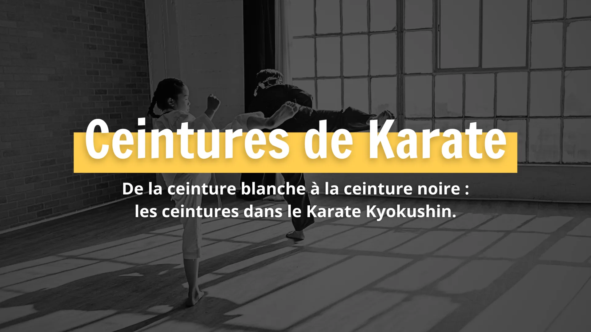 Ceinture karaté hotsell couleur ordre