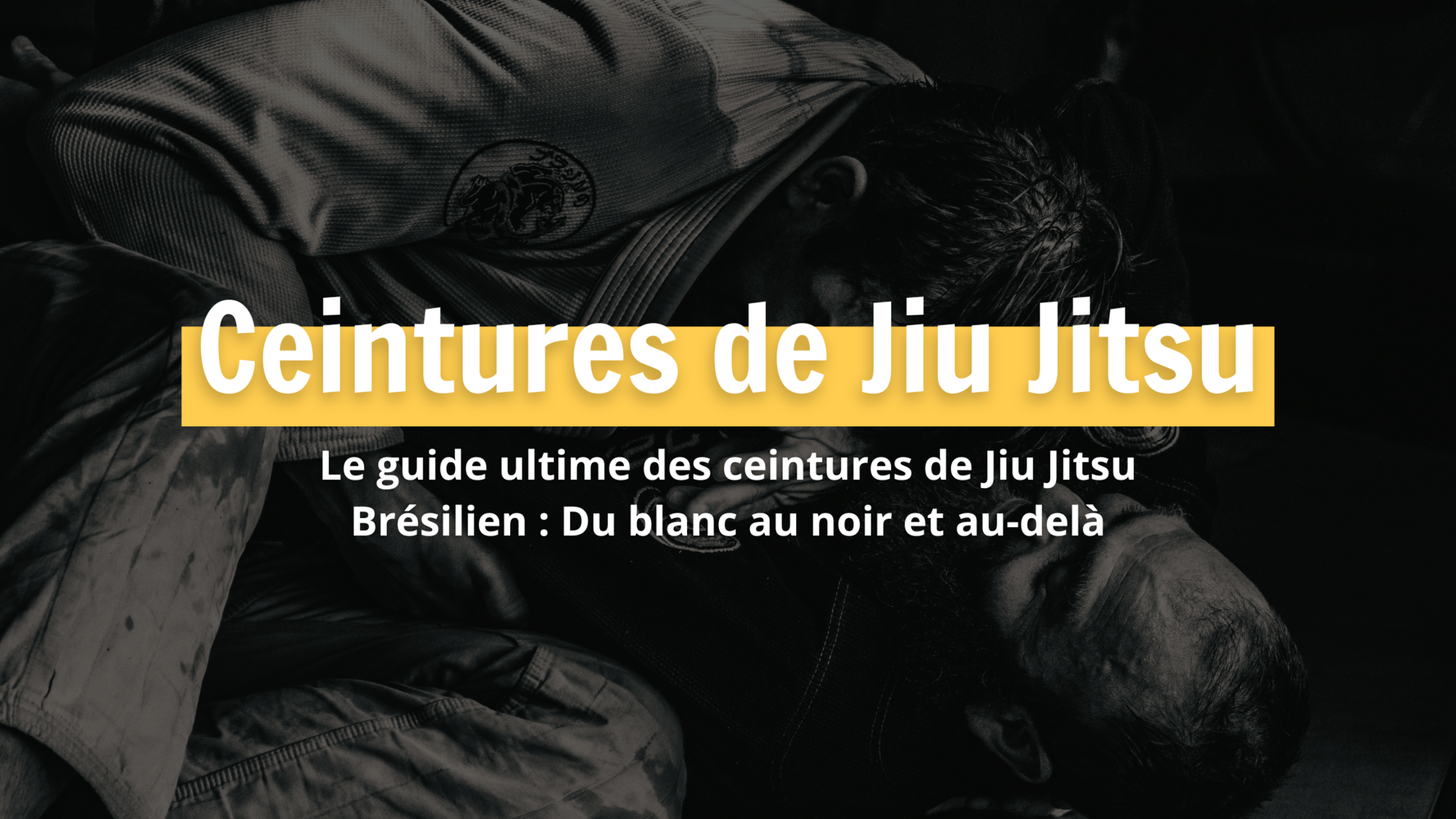 Jiu jitsu top bresilien ceinture