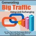 Generating Big Traffic - How To Get Traffic To Your Website Fast