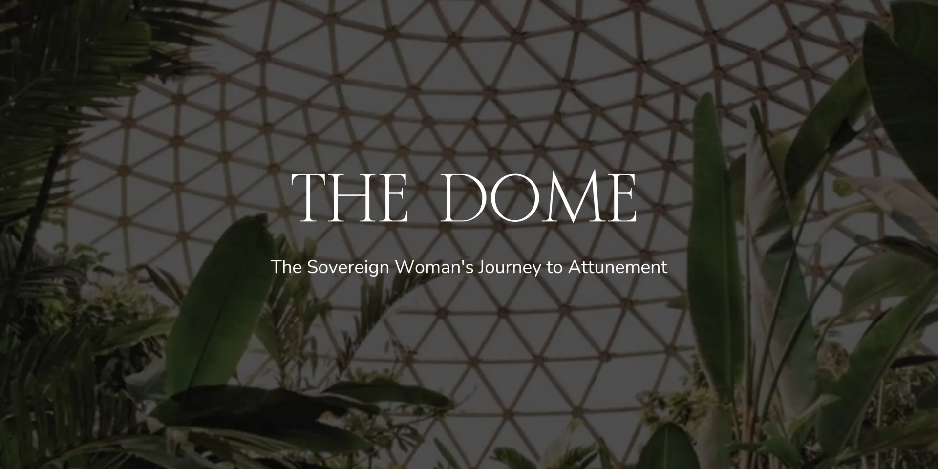 The Dome $99 Subscription 