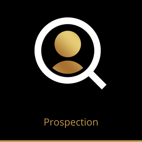 Le Wolfpack chez eXp Realty