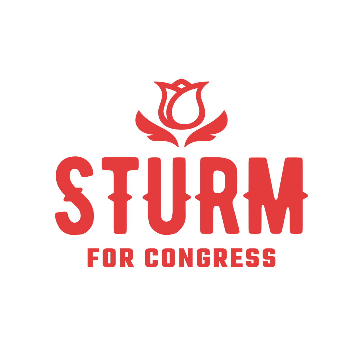 STURM4CONGRESS