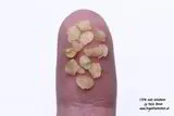 Potato chips tutorial