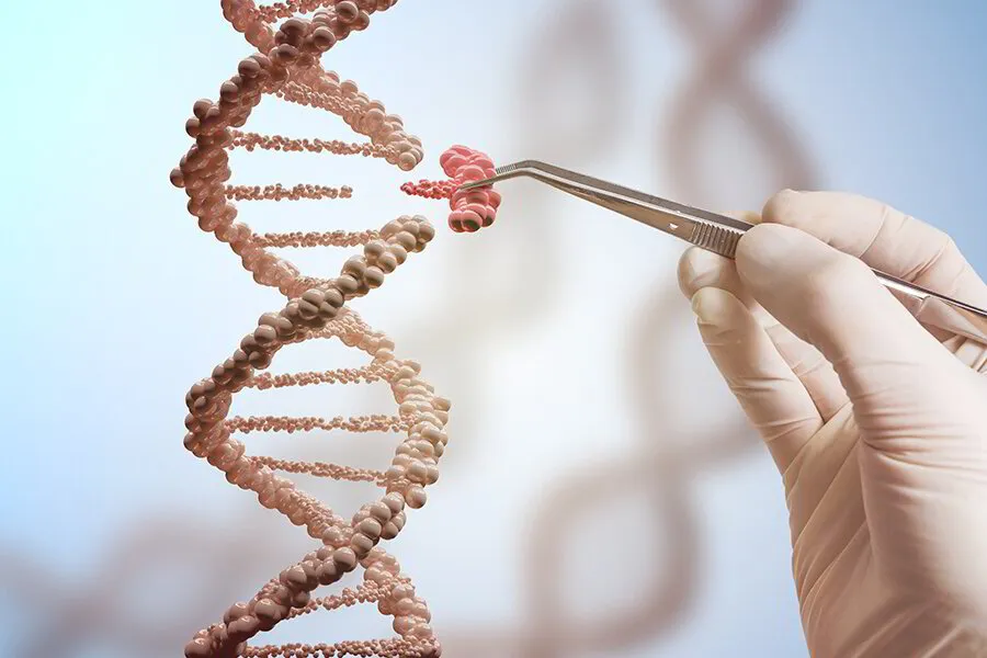 What You Need to Know About Genes for Health and Preconception