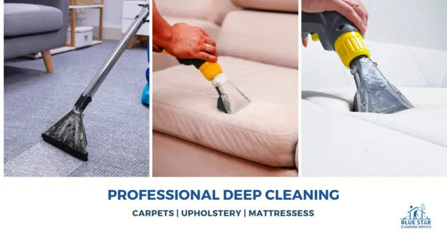 carpet & upholstery cleaning 