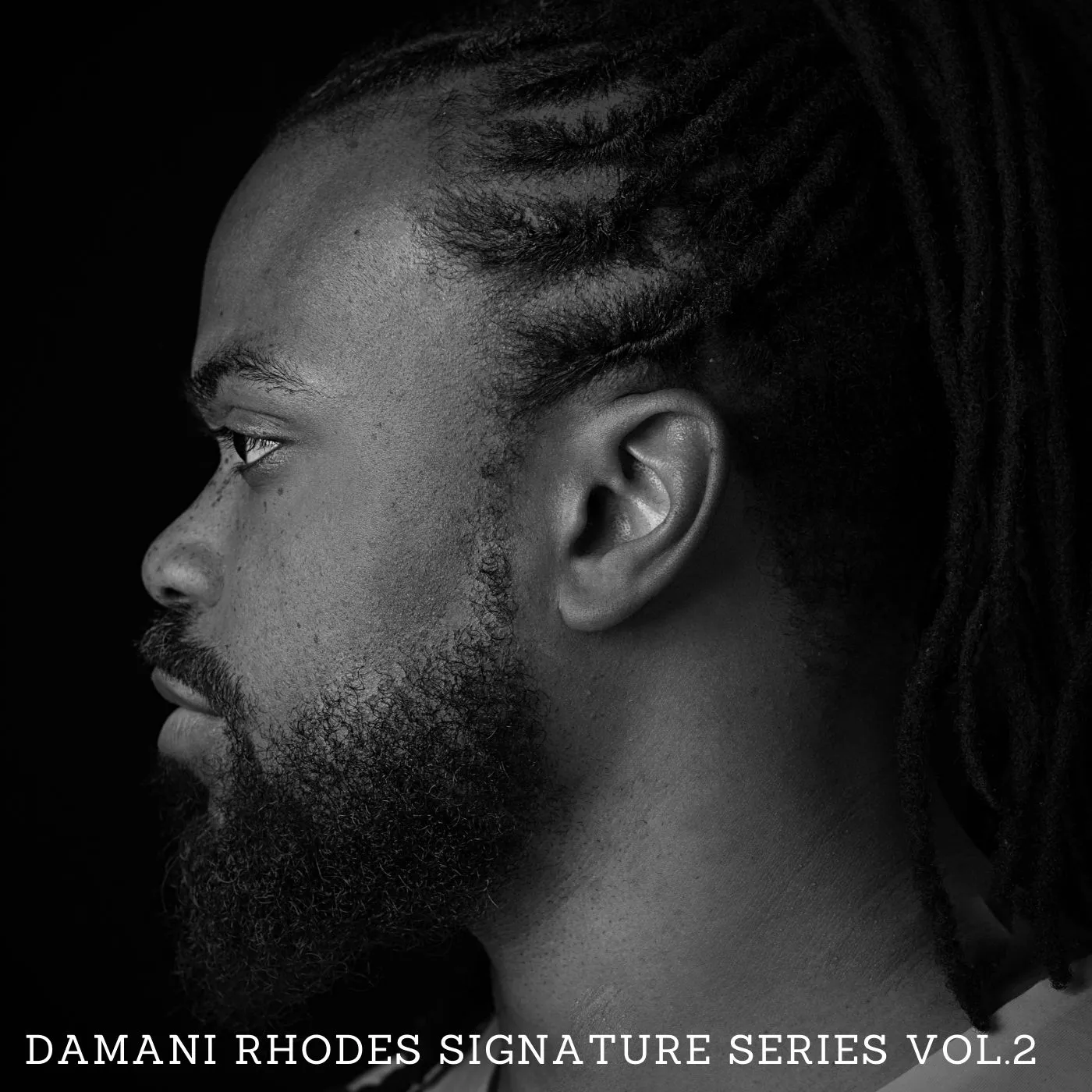 Damani Rhodes Signature Series Vol. 2
