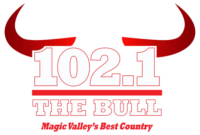102.1 The Bull Logo