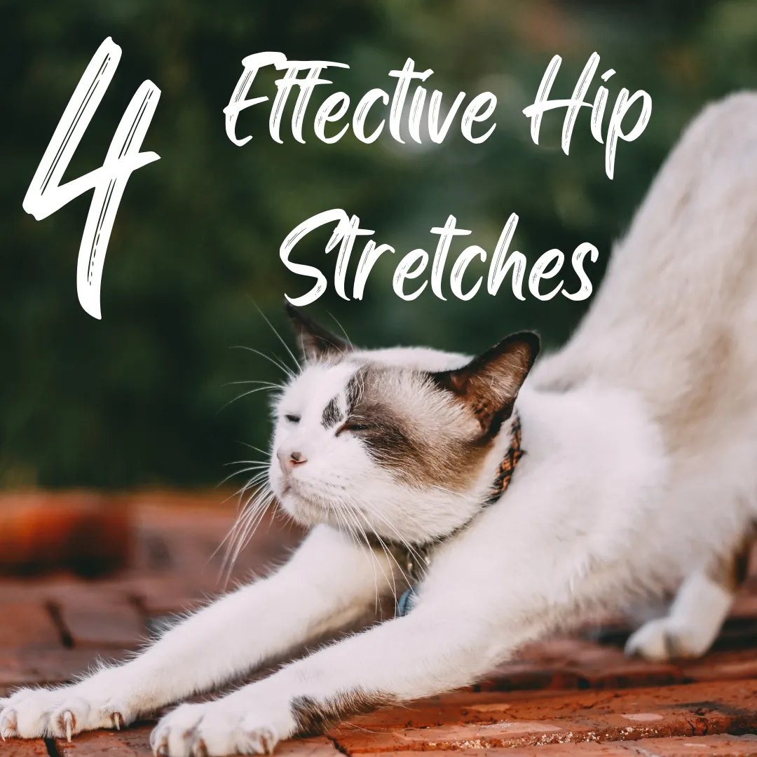 Effective Hip Stretches for Golf