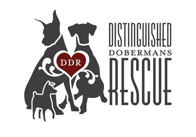 Distinguished Dobermans Rescue Logo