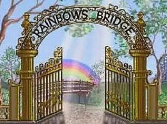 Rainbow Bridge DDR