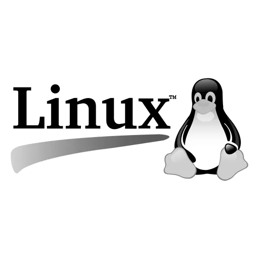 Linux support and management