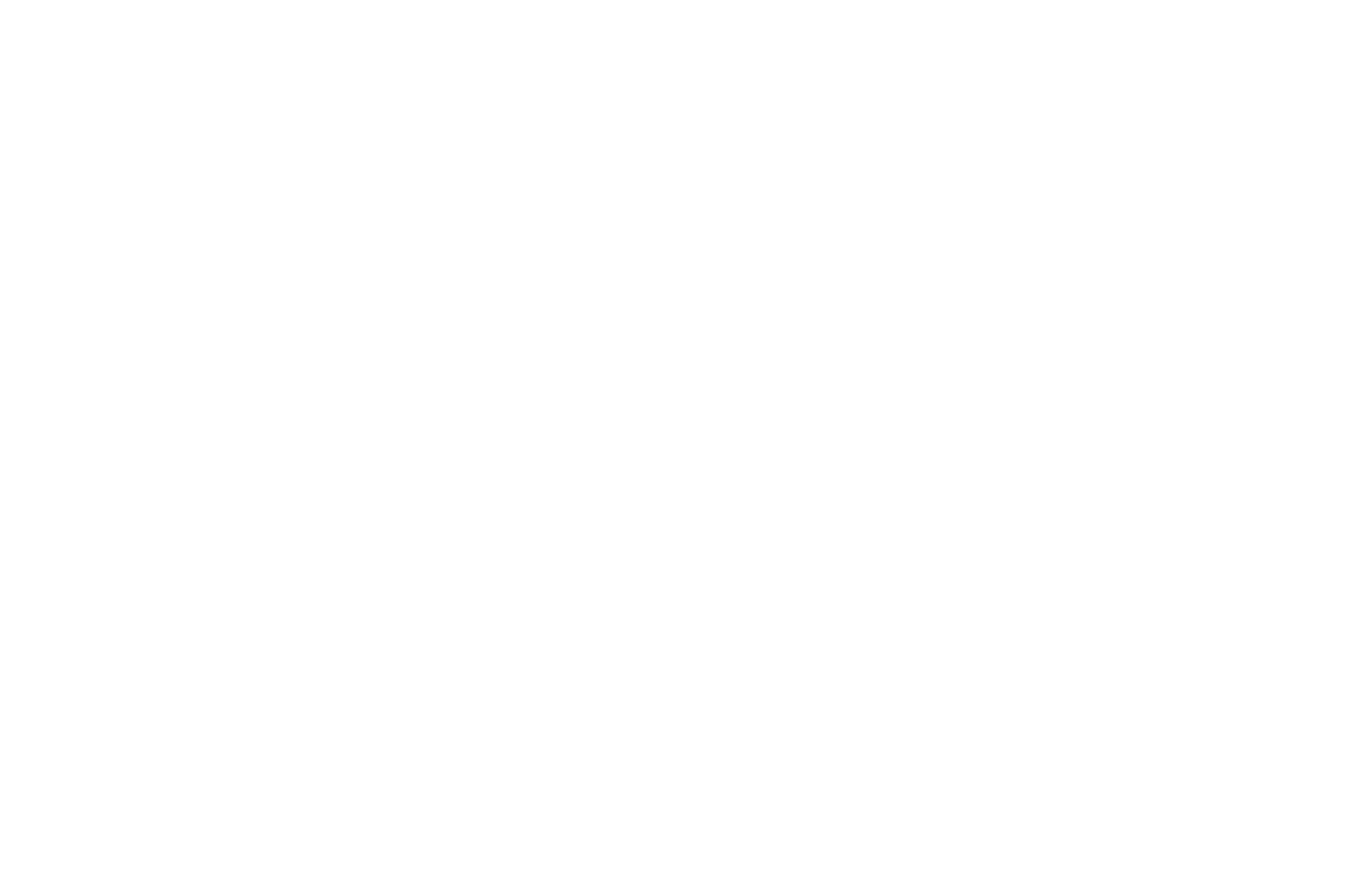 494 Painting & Flooring