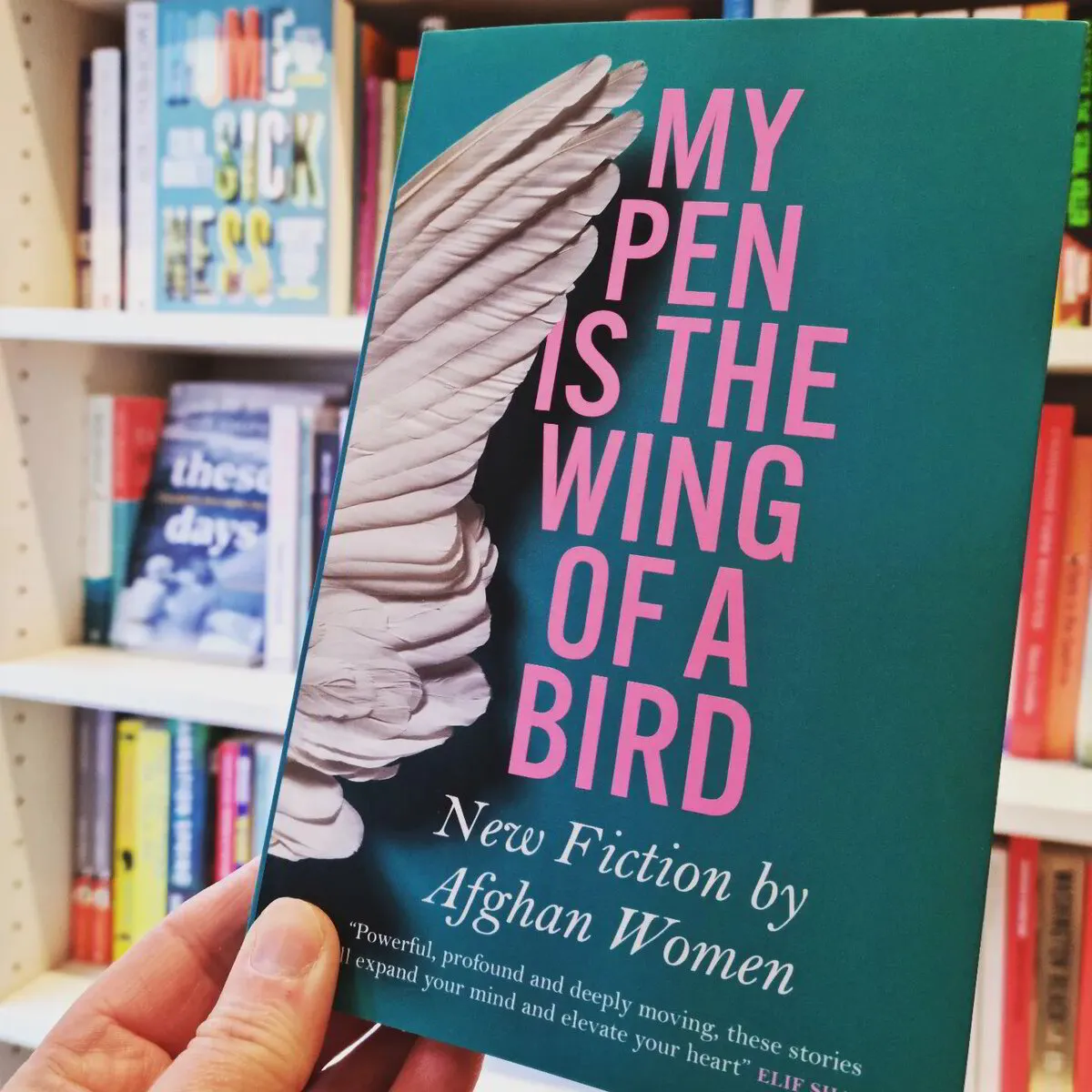 New for You in the Library