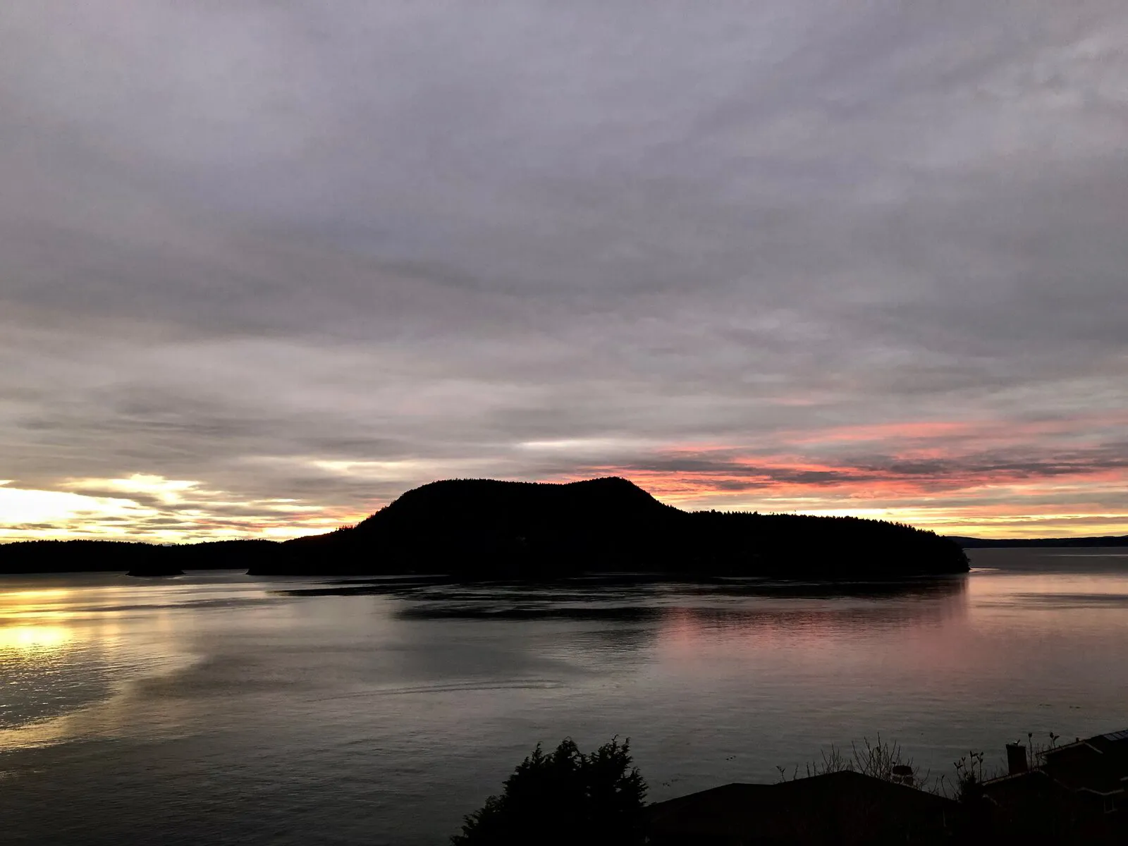 Now that it's Boxing Day ~