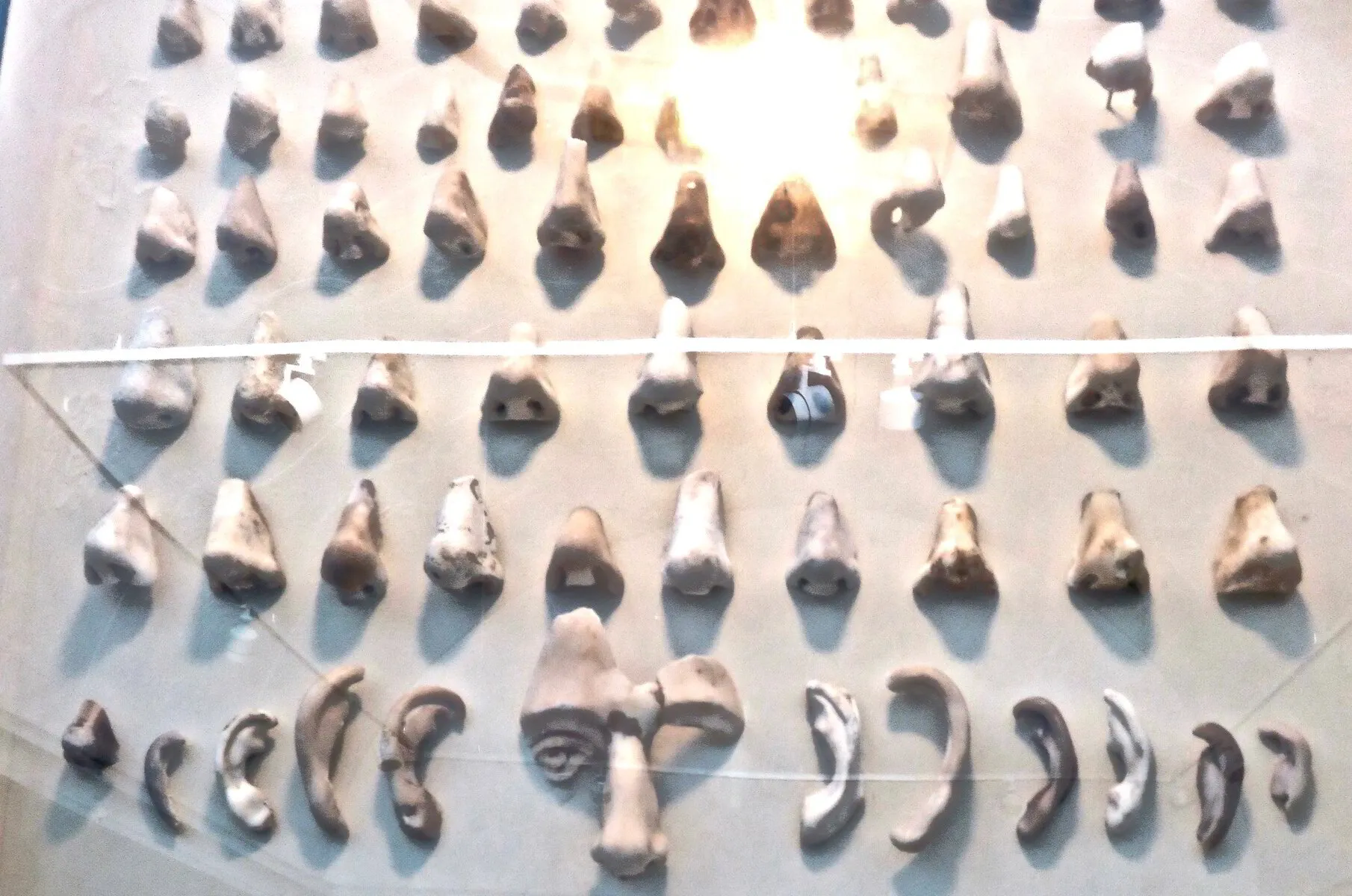 The Five Senses: Smell