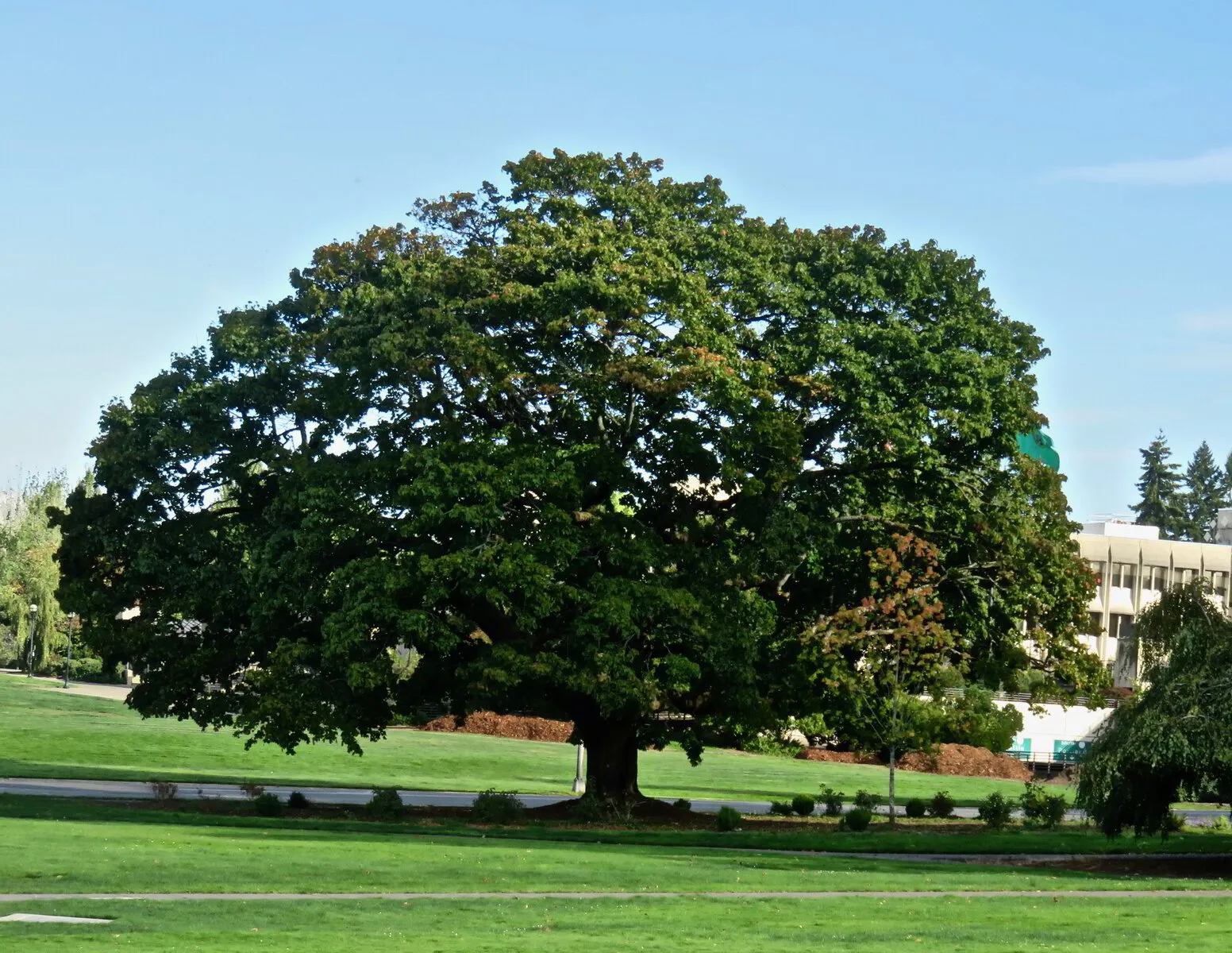 Let Nature Nourish You