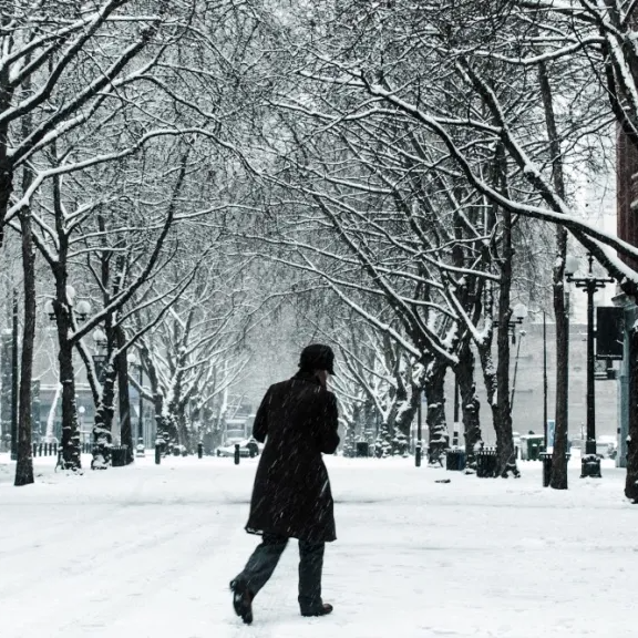 Seattle/King County Cold Weather Shelters