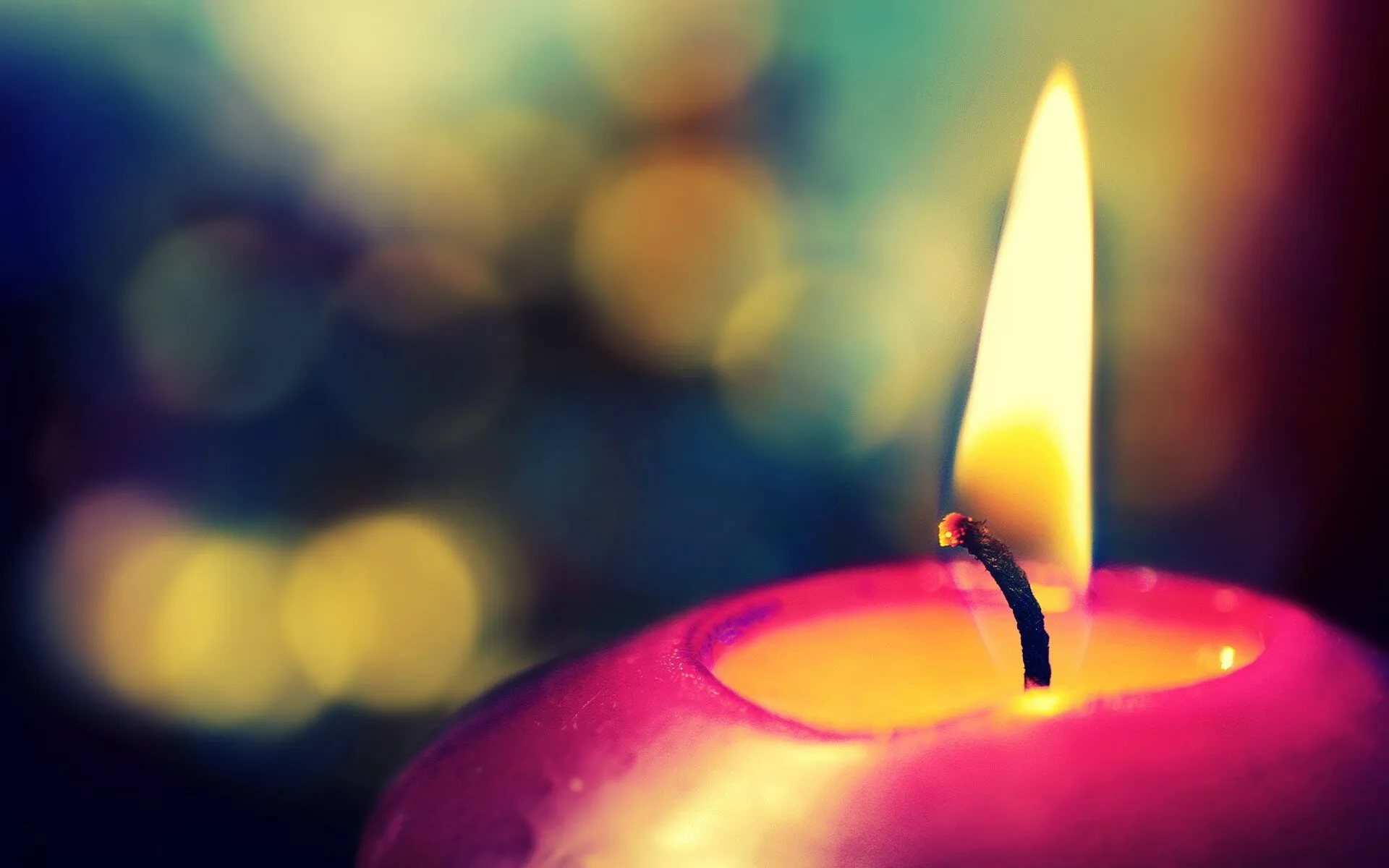 Reflect, Reveal Rejoice: Advent Devotional