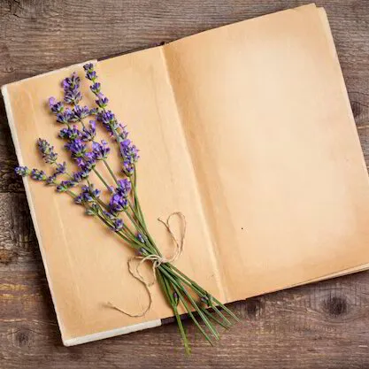 Sign the Book of Life