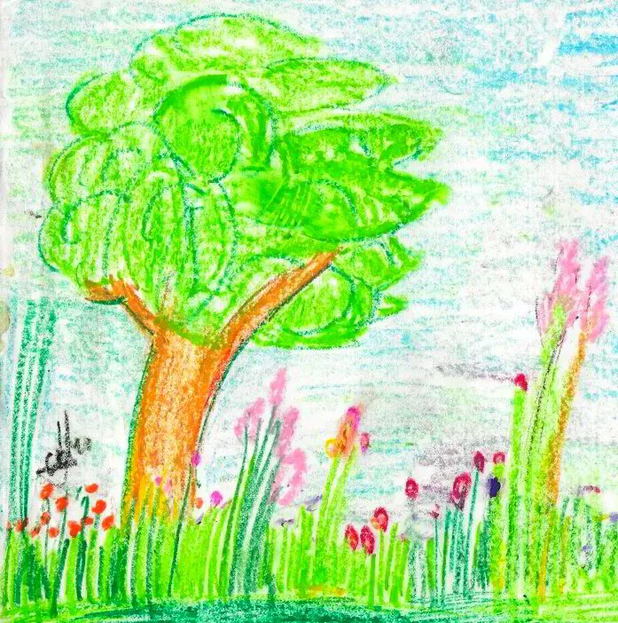 Create Climate Hope Cards